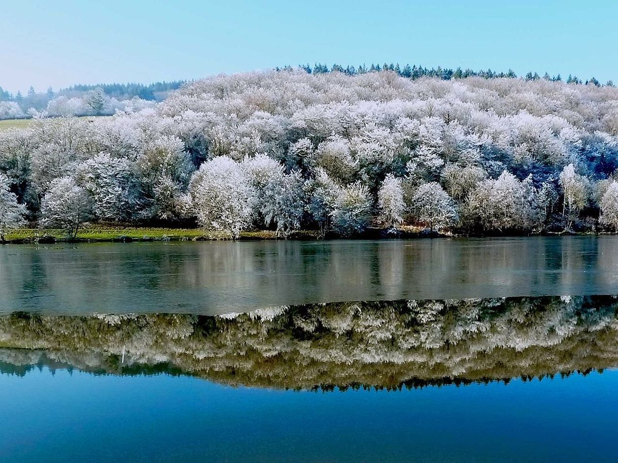 Un sendero suave a través del bosque hacia el lago de montaña